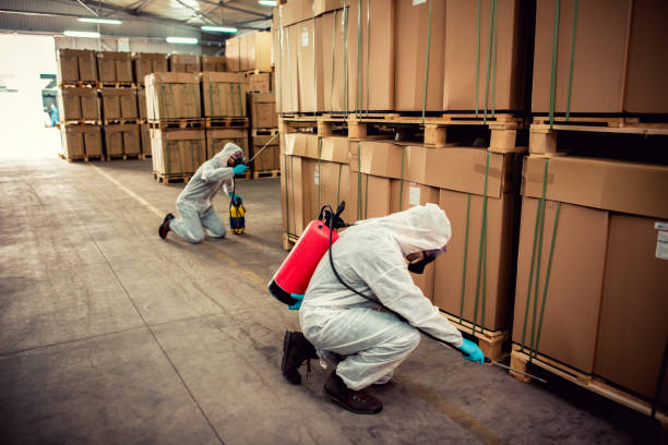 Best Flea Control Services  in Clayco, MO
