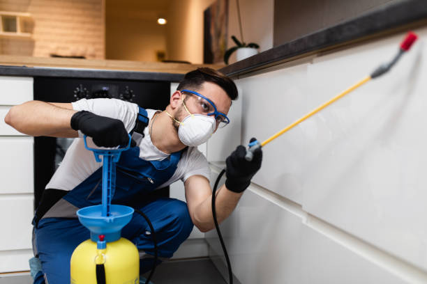 Best Wildlife Control Services  in Clayco, MO