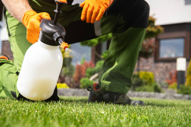Insect Control in Claycomo, MO