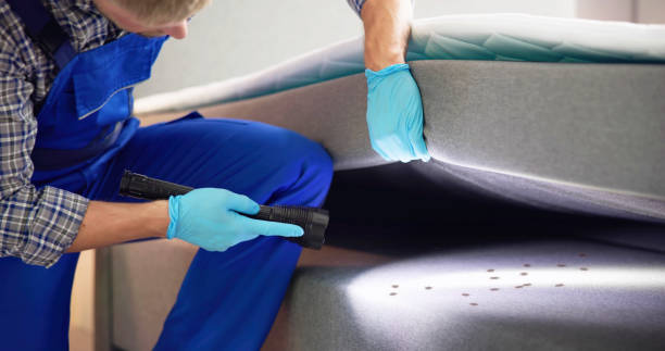 Best Pest Removal Services  in Clayco, MO