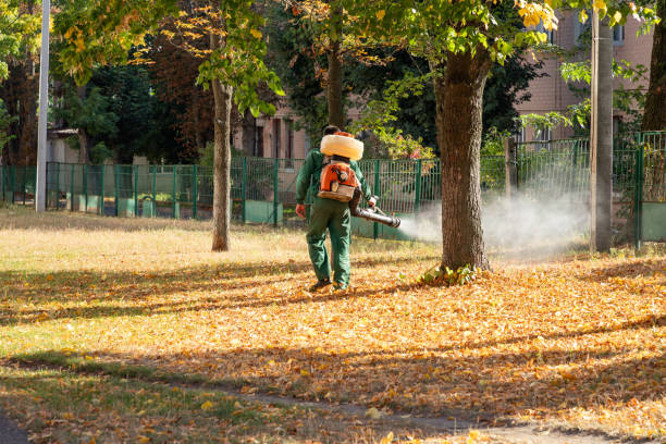 Best Best Pest Control Companies  in Clayco, MO