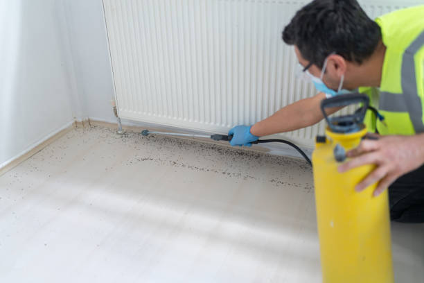 Best Mosquito Control Services  in Clayco, MO